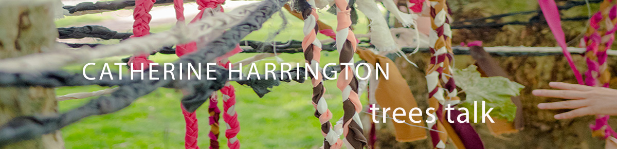 TREES TALK NEW HEADER