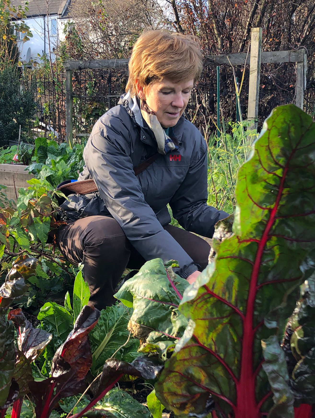 About | Catherine Harrington